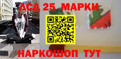 гидра Моздок