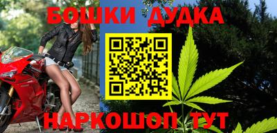 гидра Моздок